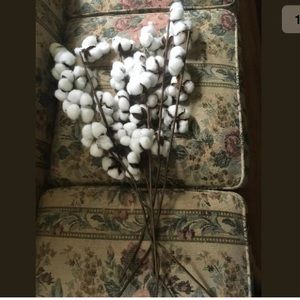 6 Cotton Balls & Branches w Wired Bendable Stems